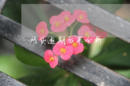 网贷逾期后果分析 网贷逾期后果分析