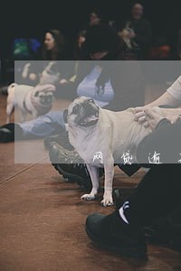 网贷逾期后果怎样一般多少利息 网贷逾期后果怎样一般多少利息
