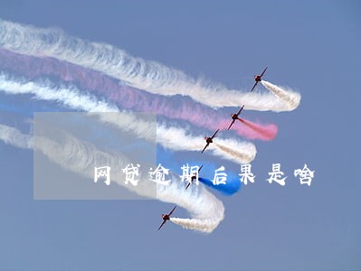网贷逾期后果是啥 网贷逾期后果是啥