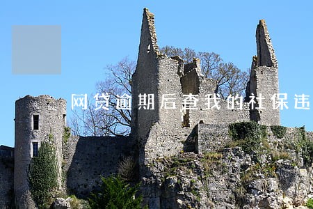 网贷逾期后查我的社保违法吗 网贷逾期后查我的社保违法吗