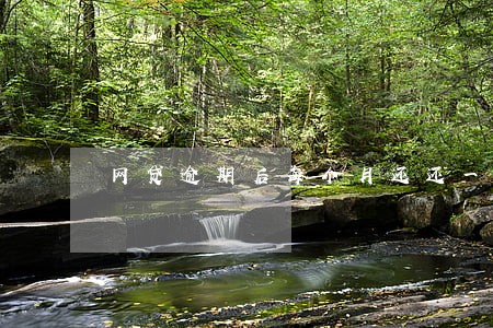 网贷逾期后每个月还还一点有用吗 网贷逾期后每个月还还一点有用吗