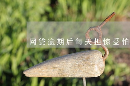 网贷逾期后每天担惊受怕 网贷逾期后每天担惊受怕