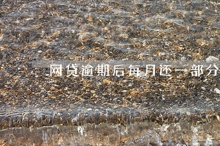 网贷逾期后每月还一部分本金 网贷逾期后每月还一部分本金