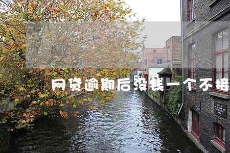 网贷逾期后没钱一个不接 网贷逾期后没钱一个不接