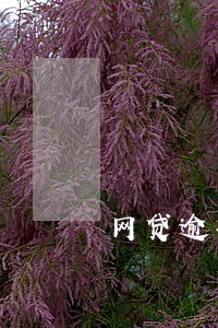 网贷逾期后派出所打电话 网贷逾期后派出所打电话