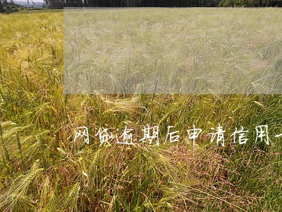 网贷逾期后申请信用卡吗 网贷逾期后申请信用卡吗