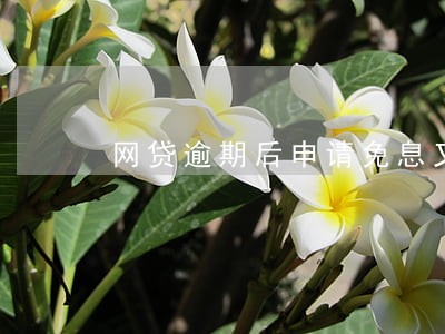 网贷逾期后申请免息又还不上 网贷逾期后申请免息又还不上