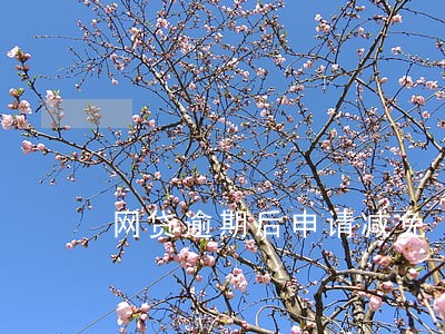 网贷逾期后申请减免 网贷逾期后申请减免