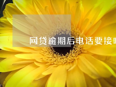 网贷逾期后电话要接吗 网贷逾期后电话要接吗