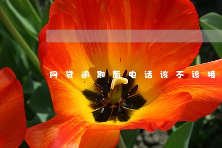 网贷逾期后电话该不该接 网贷逾期后电话该不该接