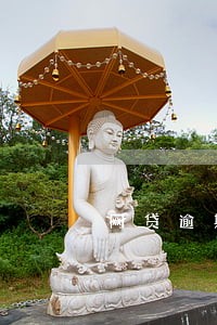 网贷逾期后的一年 网贷逾期后的一年