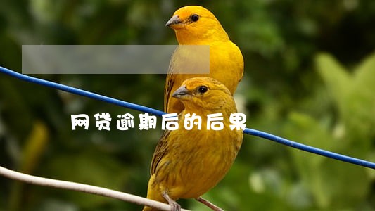 网贷逾期后的后果 网贷逾期后的后果
