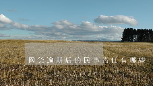 网贷逾期后的民事责任有哪些 网贷逾期后的民事责任有哪些