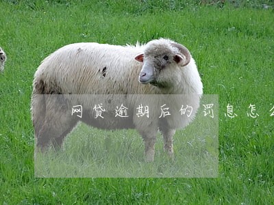 网贷逾期后的罚息怎么办 网贷逾期后的罚息怎么办