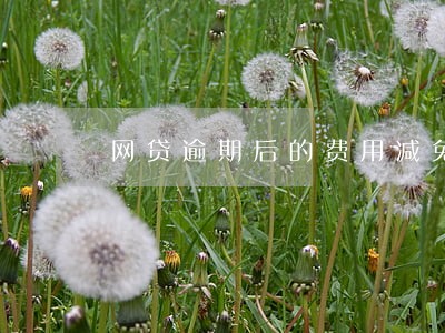 网贷逾期后的费用减免吗 网贷逾期后的费用减免吗