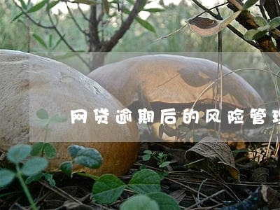 网贷逾期后的风险管理费 网贷逾期后的风险管理费