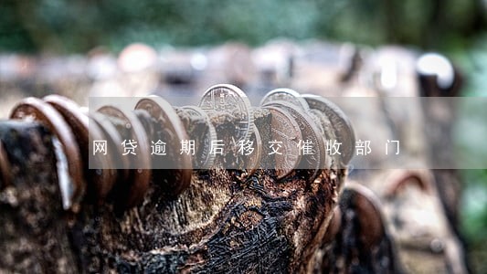 网贷逾期后移交催收部门 网贷逾期后移交催收部门