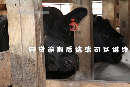 网贷逾期后结清可以继续贷吗 网贷逾期后结清可以继续贷吗