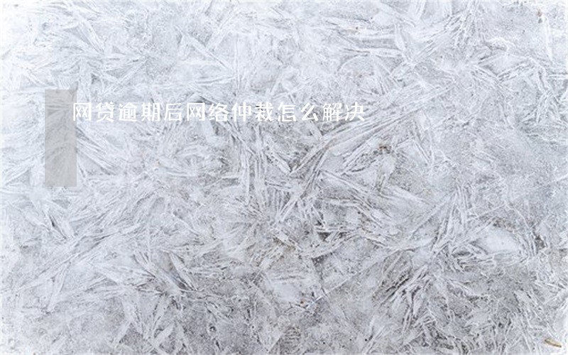 网贷逾期后网络仲裁怎么解决 网贷逾期后网络仲裁怎么解决