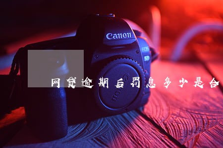 网贷逾期后罚息多少是合理 网贷逾期后罚息多少是合理