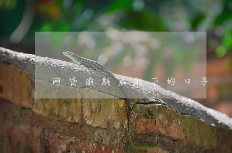 网贷逾期后能下的口子