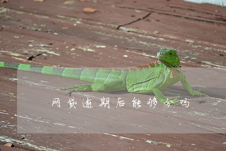 网贷逾期后能够分吗 网贷逾期后能够分吗