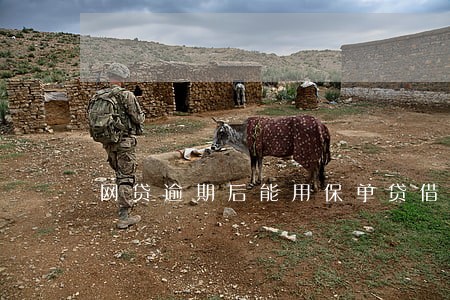 网贷逾期后能用保单贷借款吗 网贷逾期后能用保单贷借款吗