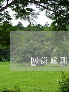 网贷逾期后能贷的 网贷逾期后能贷的