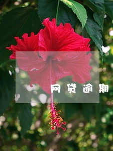 网贷逾期后补上会恢复征信吗 网贷逾期后补上会恢复征信吗