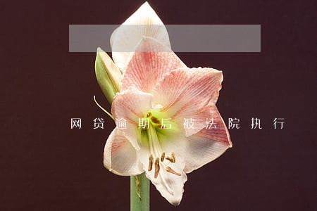 网贷逾期后被法院执行 网贷逾期后被法院执行