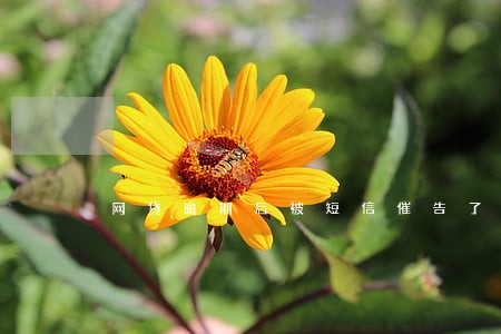 网贷逾期后被短信催告了怎么办 网贷逾期后被短信催告了怎么办
