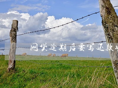 网贷逾期后要写还款承诺书 网贷逾期后要写还款承诺书