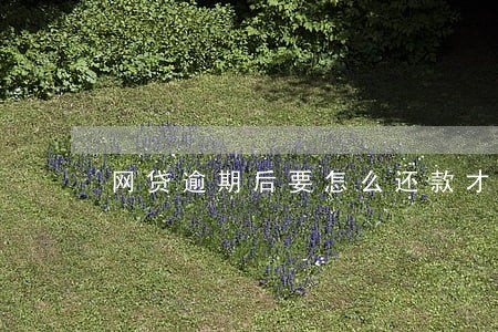 网贷逾期后要怎么还款才合理 网贷逾期后要怎么还款才合理