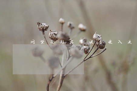 网贷逾期后要调查收入流水 网贷逾期后要调查收入流水
