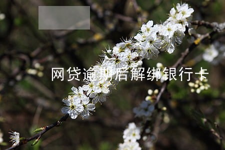 网贷逾期后解绑银行卡 网贷逾期后解绑银行卡