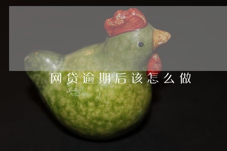 网贷逾期后该怎么做