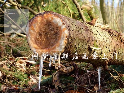 网贷逾期后说要上门