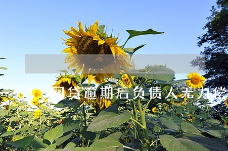 网贷逾期后负债人无力偿还 网贷逾期后负债人无力偿还