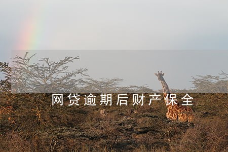 网贷逾期后财产保全