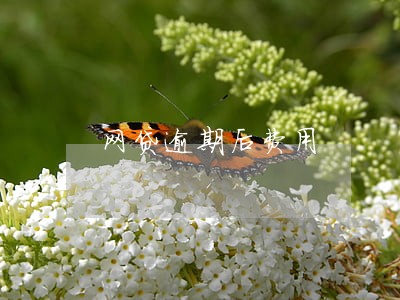 网贷逾期后费用 网贷逾期后费用