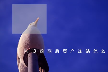 网贷逾期后资产冻结怎么解冻 网贷逾期后资产冻结怎么解冻