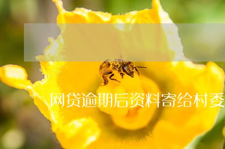 网贷逾期后资料寄给村委 网贷逾期后资料寄给村委