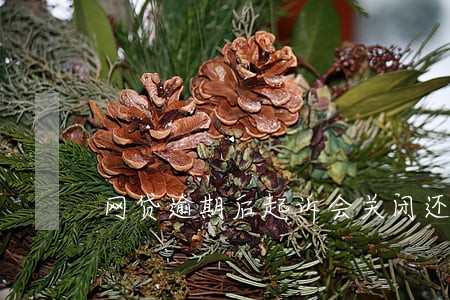 网贷逾期后起诉会关闭还款通道 网贷逾期后起诉会关闭还款通道