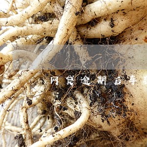 网贷逾期后车辆过户给别人 网贷逾期后车辆过户给别人
