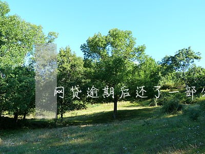 网贷逾期后还了一部分 网贷逾期后还了一部分