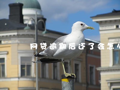 网贷逾期后还了会怎么样 网贷逾期后还了会怎么样