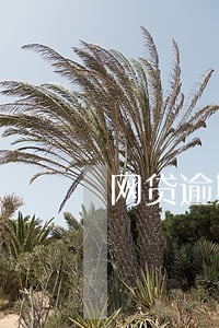 网贷逾期后还会扣卡里的钱吗 网贷逾期后还会扣卡里的钱吗