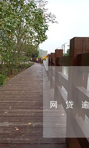 网贷逾期后还全款吗 网贷逾期后还全款吗