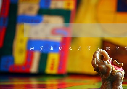网贷逾期后还可以助学贷款么 网贷逾期后还可以助学贷款么