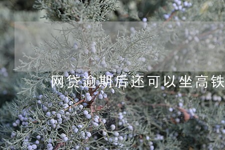 网贷逾期后还可以坐高铁吗